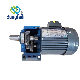  110V/415V Electric AC Motor for Automatic Warehouse