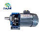 110V/415V Electric AC Motor for Automatic Warehouse