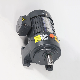  750W 28 Shaft Horizontal AC Gear Reduction Motor Speed Reducer Geard Motors