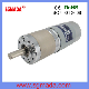 3.3-13W DC Planetary Gear Motor for Automatic Windows