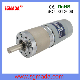  3.3-13W DC Planetary Gear Motor for Automatic Windows