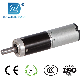 22mm Micro DC Planetary Transmission Gear Electric Motor