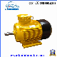 Y2 Series Ie2/Ie3 Three-Phase AC Electric Motors with Ce manufacturer