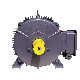 IP55/IP54 Asynchronous Induction AC Electric Motor with 2p-8p