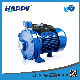 Horizontal 1.1kw Suction Clean Centrifugal Electric Water Electric Pump (HCK)