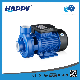 Single-Stage Vortex Centrifugal Electric Water Pump (DK)