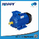 Cast Iron Happy Carton Case CE, ISO9001 Solar Pump Asynchronous Motor manufacturer