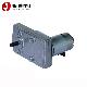  Jianteng DC Motor Brushed Gear Motor