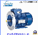 Ms Aluminium Explosion- Proof Electrical Motor Three Phase Induction Motor with 1.1kw