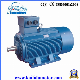 380V/400V/415V/525V 55kw Three Phase AC Electric Motor with Ce manufacturer
