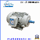 GOST Ie2 High Efficiency 3 Phase Electric AC Motor Asynchronous Induction Motor manufacturer