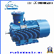 18.5kw/25HP 980rpm Explosion-Proof AC Three Phase Electric Motor manufacturer