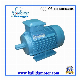Y2 Series 1.5kw/2HP Three Phase Squirrel Cage AC Asynchronous Induction Motors for Water Pump manufacturer