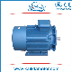 Y2-132m-4 7.5kw Three Phase Electric Motor for Water Pump manufacturer