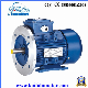 Y3 Series High Torque Three Phase Induction Motor for Concrete Mixer manufacturer