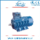 Y2 315kw High Efficiency Machinery Three Phase Induction Asynchronous Motor manufacturer
