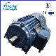 Yvf2 Series Three-Phase Asynchronous Motor Induction Electric Motor Yvf2-225s-4 manufacturer