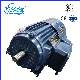 Yvf2 Series Three-Phase Asynchronous Motor Induction Electric Motor Yvf2-225s-4