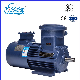 Ybbp Series Low Noise General Machinery Motor Explosion-Proof Variable Frequency Motor manufacturer