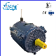 Ysf3 Series Three-Phase Induction Asynchronous Motor for Water Pump manufacturer