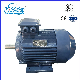 Y2 Series Y2-160m2-2 AC Motor Three Asynchronous Motors Fan Motor manufacturer