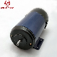  China 70zyt 20W 40W 70W 120W 148W Brush DC Electric Motor 24V