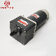 GS High Torque Long Life 250W 104mm DC Motor with Square Gearbox manufacturer