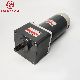 GS High Torque Long Life 250W 104mm DC Motor with Square Gearbox