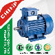 Y2 2pole/4pole Cast Iron Three Phase AC Electrical Electric Motor with CE