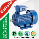  Y2 2pole/4pole Cast Iron Three Phase AC Electrical Electric Motor with CE