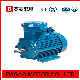 0.55-315kw Three Phase Explosion-Proof Electric Motor (Tefc-IP55, IEC standard)