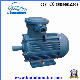 Yb3 Sereis Three Phase Explosion Proof Induction Motors for Water Pump