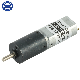  16mm 6V 12V 24V Micro DC Planetary Geared Motor for Shutters