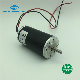 42mm Brush DC Motor Equivalent to Gr42 10W 15W 20W