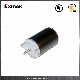 12V 2800rpm 4600rpm DC Brush Motor for Water Pump