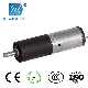 Pm DC Planetary Gear Motor