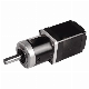 NEMA 11 28mm Hybrid Stepper Motor with Planetary and Spur Gear