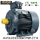  Ys Small Power Three Phase AC Electric Induction Motor 100W S1 Duty 0.06~3kw Ys561-2 0.09kw