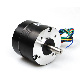  36V Brushless DC Motor 57mm BLDC Motor 0.11n. M 4000rpm 46W for Electric Car