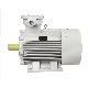  11kw 15kw 18.5kw 22kw 30kw 55kw 75kw 132kw 185kw 315kw Explosion Proof Variable Frequency Adjustable Speed Three Phase Electric Motors