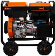 AC DC Output Powder Coated Steel 12.5L Diesel Generator manufacturer