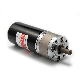15W 20W 30W 43mm Planetary Gear DC Brushless Motor for Robot manufacturer