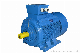 Ie2 Cast Iron Housing Three Phase Electrical Motor