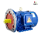 Ye5 Three-Phase High-Efficiency Motor Water Pump Motor manufacturer