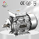 Yl/Ml AC Single-Phase Asynchronous Motor manufacturer