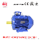 Multispeed Motor Variable Speed Motor 200L2 4p 2p 26 30kw