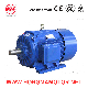 Cast Iron Housing Enclosed Type Asynchronous Induction Motor (445TS-4-150HP)