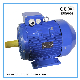 Closed Type Aluminum Three Phase Premium Efficiency Motor (160L-2-18.5KW)