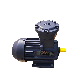 Factory Supply AC Induction Electric Motor 3 Phase Ex Motor