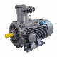  Explosion Flame Proof Electric Asynchronous AC Induction Motor for Oil and Gas Industry